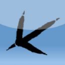 Ornithology by country