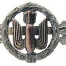 Front Flying Clasp of the Luftwaffe