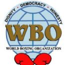 Organizations based in Puerto Rico by subject