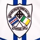 1957 in Gaelic games