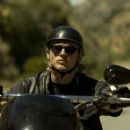 Sons of Anarchy (2008)