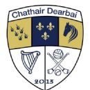 2013 in Gaelic games