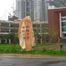 Shanxi Experimental Secondary School