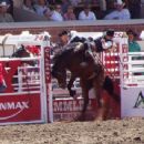 Bronc riding