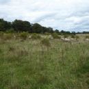 Hilborough