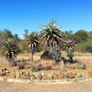 Parks in Gaborone