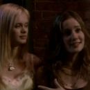 The Party Never Stops: Diary of a Binge Drinker - Sara Paxton - 454 x 255