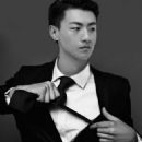 Wang Qing (actor)