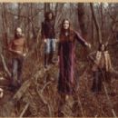 Medieval folk rock groups