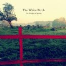 The Weight Of Spring - The White Birch