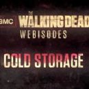 The Walking Dead (franchise) television series