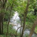 Rivers of Ponce, Puerto Rico