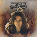 Attic Records albums