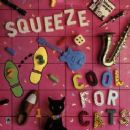 Cool For Cats