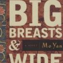 1996 Chinese novels