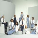 Grey's Anatomy Season 4 Cast - 454 x 309