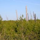 Protected areas of Marion County, Florida