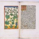 14th-century German scientists