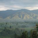 Ramsar sites in Uganda