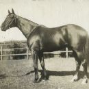 1930 in horse racing