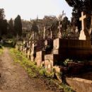 Roman Catholic cemeteries in Algeria
