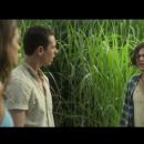 In the Tall Grass (2019) - 454 x 255