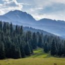 Forest reserves of Kyrgyzstan