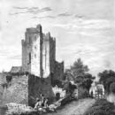 Castles in County Dublin