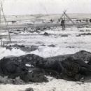 1890s decade overviews