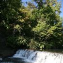 Bronx Park
