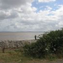 Bridgwater Bay