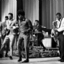 Musical groups disestablished in 1968