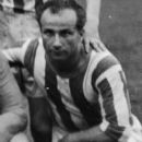 Iuliu Bodola