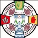 Hurling clubs in Northern Ireland by county