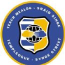 Gaelic Athletic Association clubs established in 1999