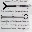 Science in al-Andalus