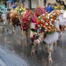 Folk festivals in Switzerland