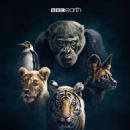 Dynasties