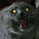 Halloween Movies - 454 x 239