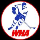 Defunct ice hockey leagues