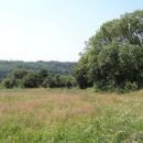 Riddlesdown Common