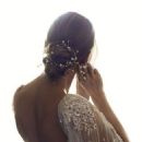 Hilary Swank Wedding