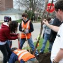 Urban forestry