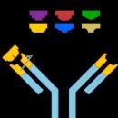 Antigens