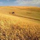 Agriculture by country