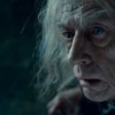 Harry Potter and the Deathly Hallows: Part 2 - John Hurt - 454 x 194