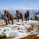 Phanerozoic extinctions