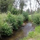 Tributaries of the Mindel