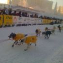 Sports competitions in Canada by province or territory