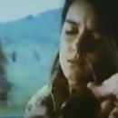 Diary of a Teenage Hitchhiker - 454 x 320